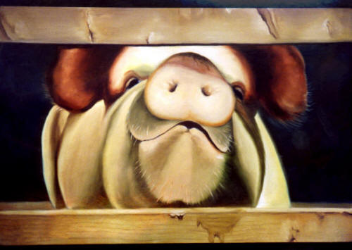 TRCIA THE PIG  BY Anni Adkins