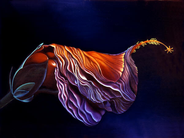 Brusied Hibiscus by Anni Adkins