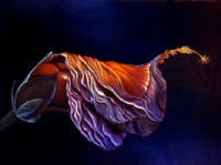 Brusied Hibiscus by Anni Adkins