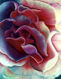 The Rose by Anni Adkins
