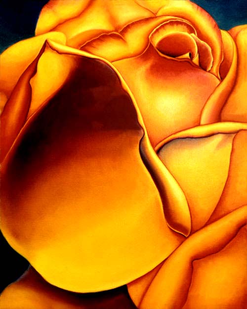 Yellow Rose by Anni Adkins