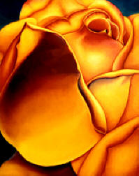 Yelllow Rose by Anni Adkins