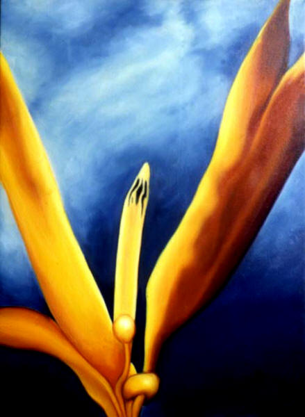 Bird of Paridise by Anni Adkins