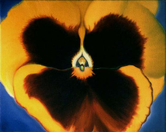 Yellow Pansy by Anni Adkins
