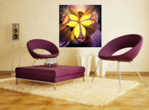 Goldies Iris by Anni Adkins