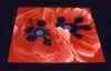 Double Red Poppy Table by Anni Adkins