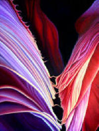 Rebirth by Anni Adkins